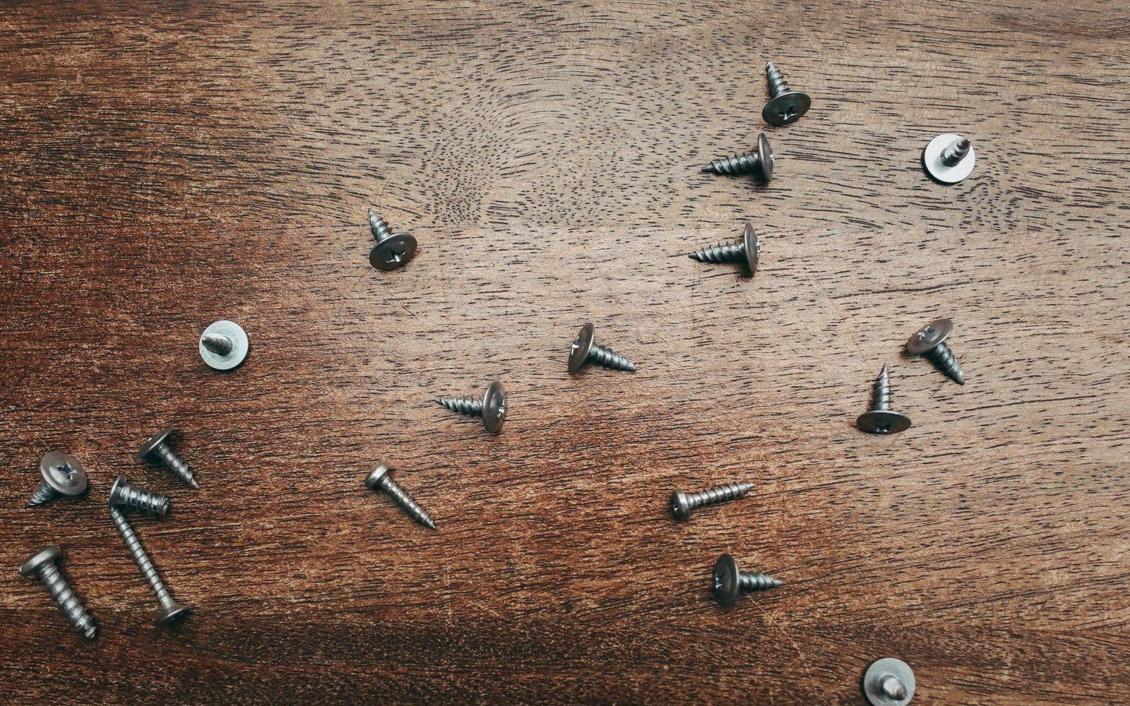 A white enamel tray with disassembly screws laid out in the sequence they were removed, varying head types visible